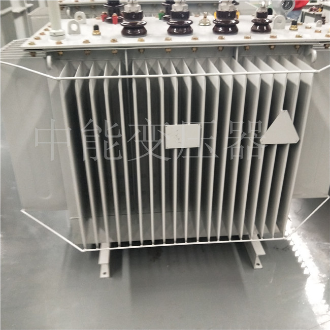 昌都S20-800KVA变压器