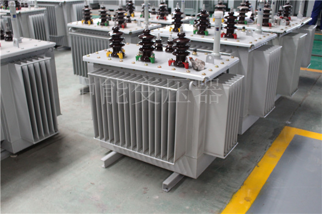 昌都S22-250KVA/10KV变压器